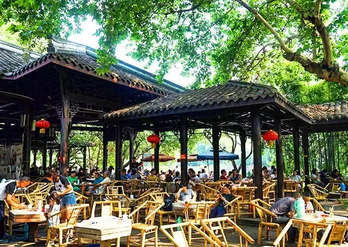Chengdu Panda Morning & Tea Rest gallery 2