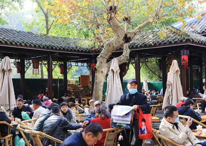 Chengdu Panda Morning & Tea Rest gallery 3