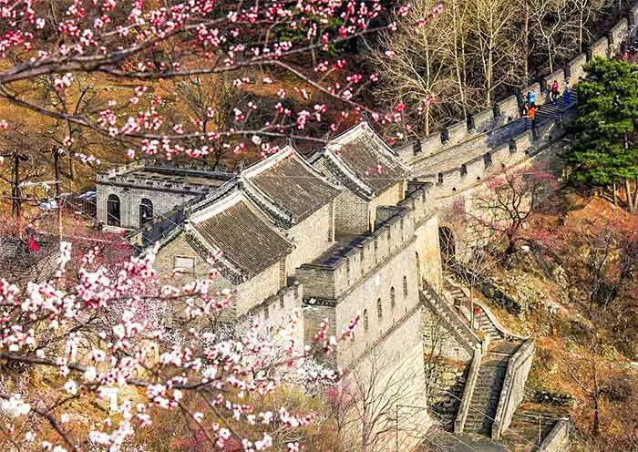 11 Days Shanghai Huangshan Xian Beijing Group Tour gallery 3