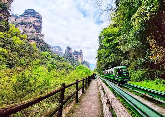 11 Days Shanghai Zhangjiajie Guilin Hong Kong Essential China Tour gallery 6