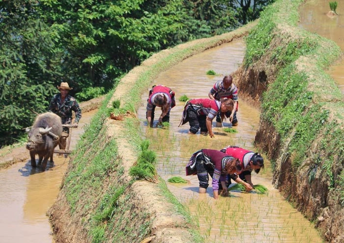 12 Days Yunnan Panorama Tour gallery 7