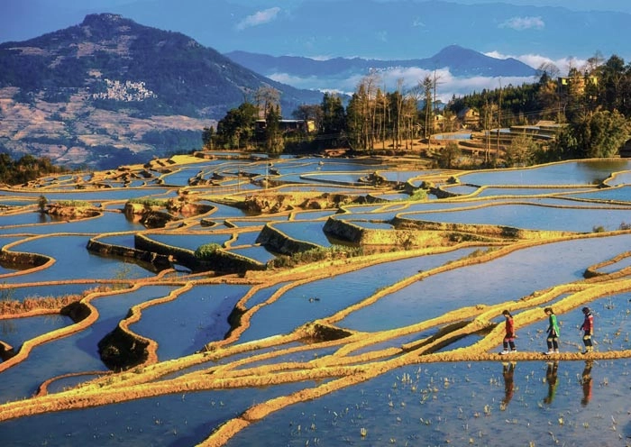 12 Days Yunnan Panorama Tour gallery 9